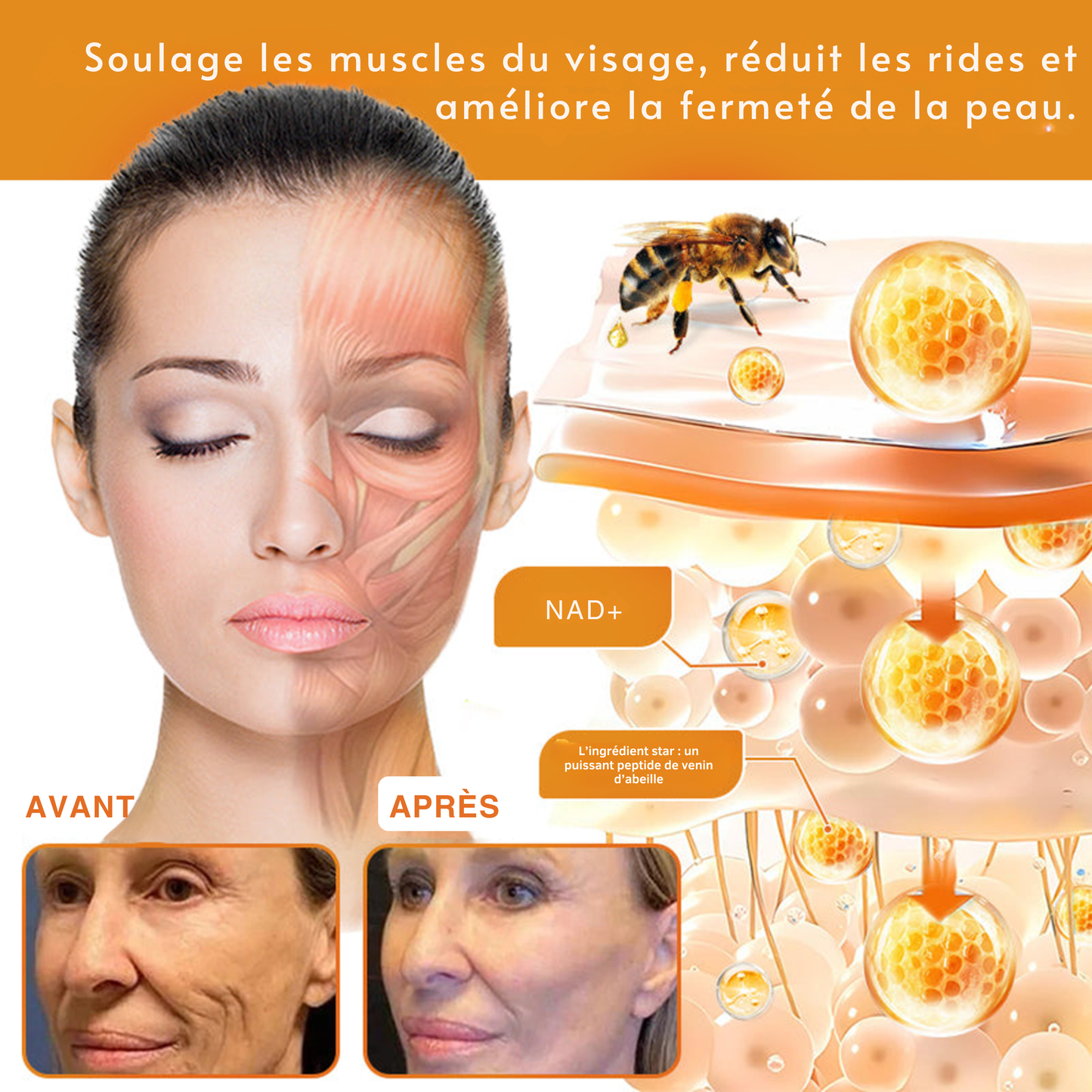 Crème intégrale au venin d'abeille
